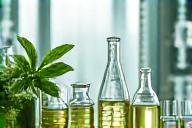 Photo de laboratoire avec fioles et plantes